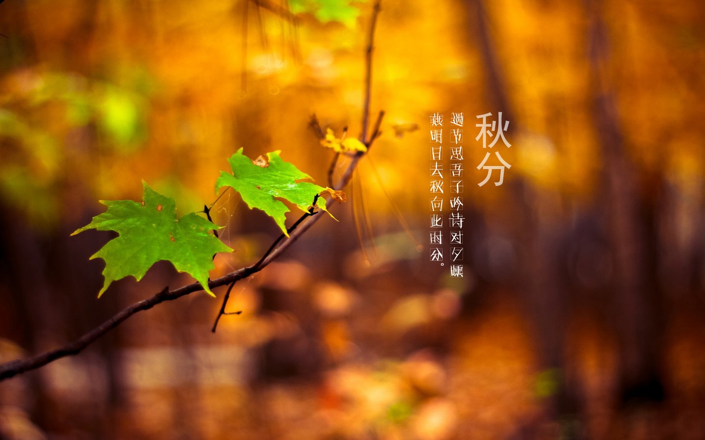 2019己亥豬年9月23日是不是秋分 秋分有什么習(xí)俗？(圖文)