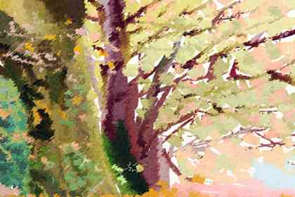 夢見家里發生火災 是不好的預兆嗎(圖文)