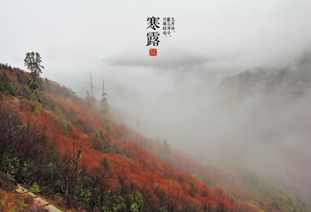 2019年寒露搬家安床好不好,寒露節氣要吃柿子嗎？(圖文)