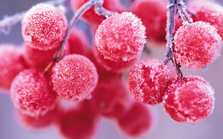 2019年九月廿七霜降后一天日子結(jié)婚吉利嗎,霜降習(xí)俗解析！(圖文)
