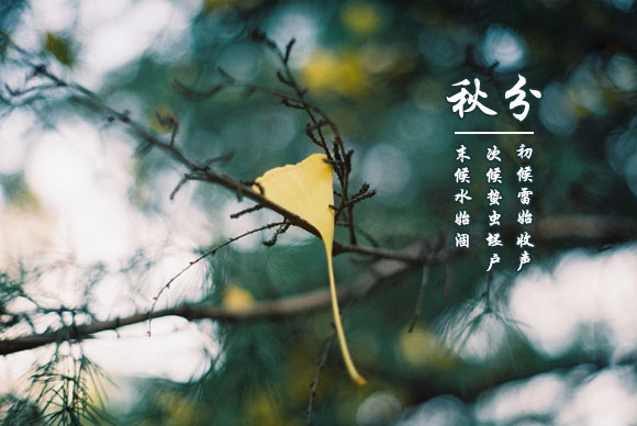 2019年秋分有那些事情不適合做 秋分過后天氣冷不冷？(圖文)