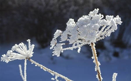 2019年霜降后一天九月廿七是出殯吉日嗎,霜降吃什么食物？(圖文)