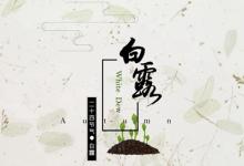 2019年9月8日白露節氣丑時出生的人命好不好？