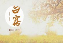 2019年9月8日白露節氣出生在巳時的人喜用神是什么？
