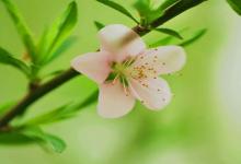 水瓶座失戀后的療傷地