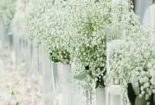 夫妻宮主星是貪狼星的人會對愛情忠誠嗎?