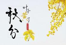 秋分白天熱嗎？秋分不生田是什么意思？