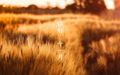 農(nóng)歷十一月要注意什么？農(nóng)歷十一月有什么別稱？(圖文)