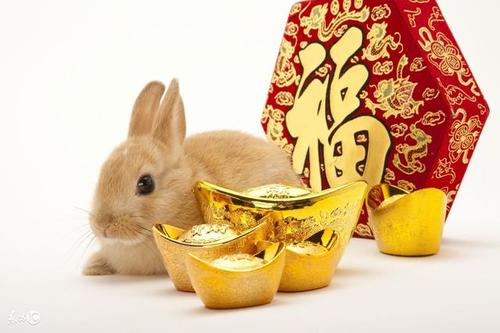 2019年農歷十一月十三開倉納財吉利嗎卦象運勢好不好？(圖文)