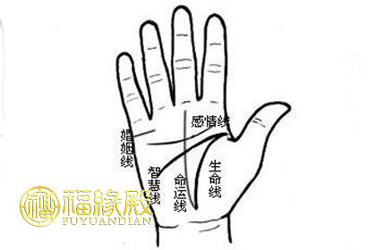 命運線反映你的命運(圖文)