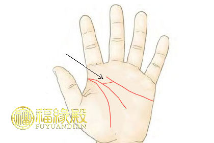 感情線分叉到智慧線是什么情況(圖文)
