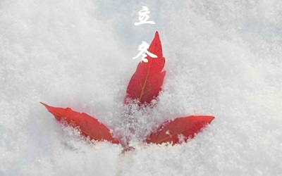 出生在2019年立冬節氣未時的人命運怎么樣？(圖文)