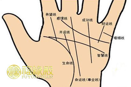 命運線中一個不吉祥的紋路(圖文)