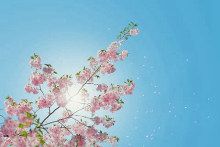2019年農(nóng)歷十一月初一日子好不好,今天是不是黃道吉日？(圖文)