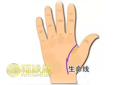 命運(yùn)線_一個人一生命運(yùn)(圖文)