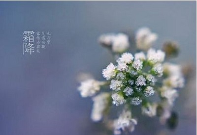 2019年霜降節氣辰時出生的人喜用神是什么？(圖文)