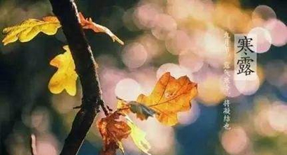 1998年屬虎寒露10月8日出生的人命運是好是壞？(圖文)