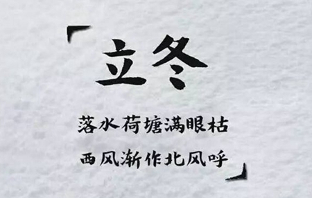 2019年11月8日立冬生肖狗今日財運旺不旺？(圖文)