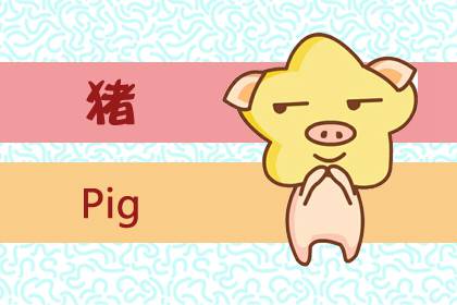 屬豬微信頭像用什么比較好(圖文)