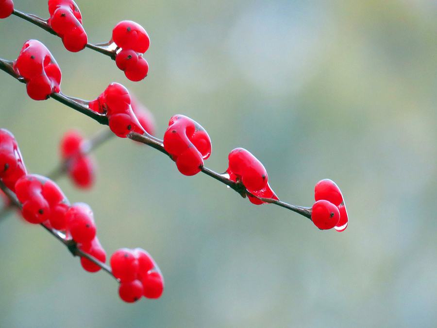 2019年十月廿五小雪前一天修墳好嗎,小雪時間如何計算？(圖文)