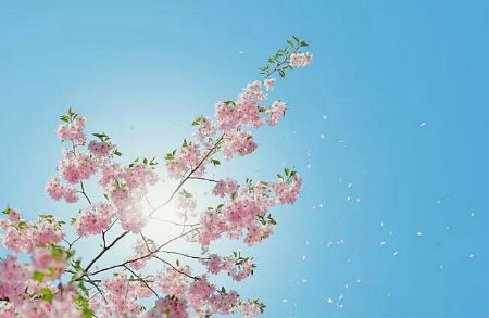 2019年陰歷十月初九遷墳吉利嗎,陰宅遷墳風水解析！(圖文)