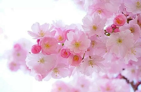 2019年農(nóng)歷十月二十八是不是吉日,今天吉時(shí)宜忌查詢！(圖文)