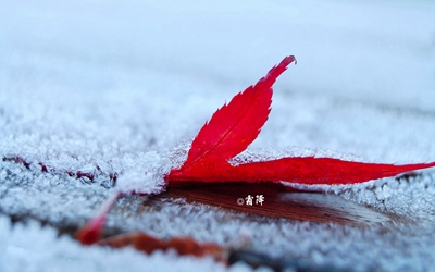 2019年霜降節氣辰時出生的人喜用神是什么？(圖文)