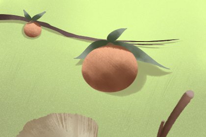 風水學什么叫棺材房 如何讓家中風水變好(圖文)