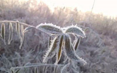 2019年九月廿六霜降午時出生命運好不好？(圖文)
