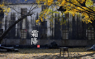 出生在2019己亥年霜降巳時(shí)的人五行喜用什么？(圖文)