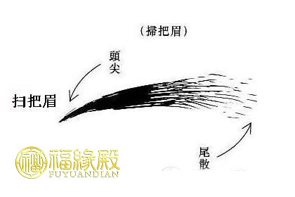 眉毛看相算命圖解分析大全(圖文)