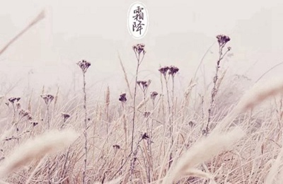 2019年霜降是哪天？霜降為什么吃柿子？(圖文)