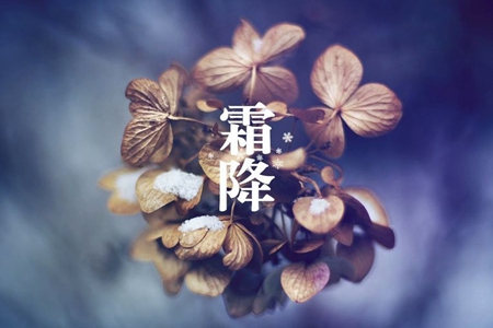 2019年霜降10月24日是買(mǎi)房吉日嗎，霜降吃栗子有什么好處？(圖文)