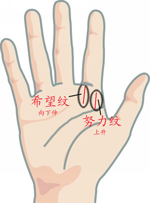 手相中的紋路以及名稱介紹(1)(圖文)