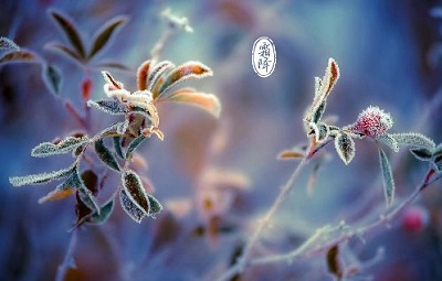 2019年霜降節氣子時出生會是什么命？(圖文)