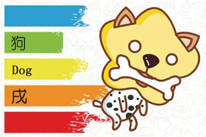 2006屬狗的今年多少歲 運勢好嗎(圖文)