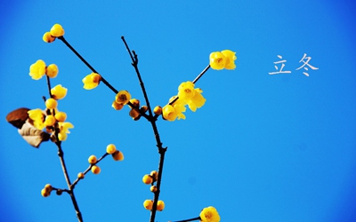 2019立冬有什么活動？立冬節(jié)氣三候的名字(圖文)