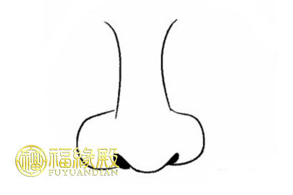 蒜頭鼻是什么樣的 蒜頭鼻好不好(圖文)