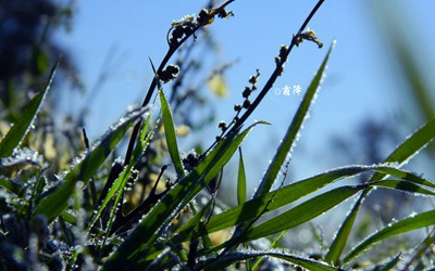 2019年10月24日霜降節(jié)氣丑時(shí)出生喜用神是什么？(圖文)