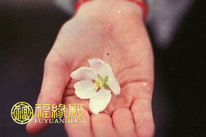 掌心突然有痣預示著什么(圖文)
