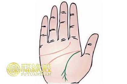 生命線中途分叉圖解分析(圖文)