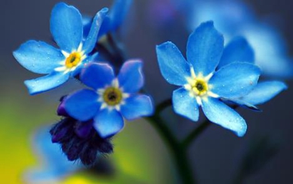 2019年農歷十一月十七日子好嗎,是不是出殯吉日？(圖文)