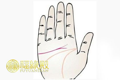 分叉的感情線有什么寓意(圖文)