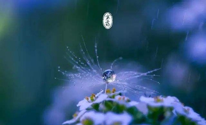 2019年寒露10月8日出生的男孩命運好不好？(圖文)
