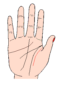 手相中的紋路以及名稱介紹(1)(圖文)