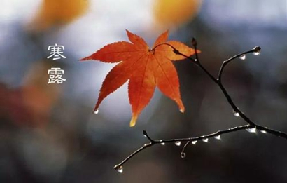 2019年寒露出生的人命運(yùn)好嗎 寒露是什么意思？(圖文)