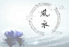 極貴面相，這種眉型的男人大富大貴