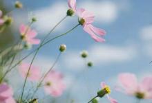 2019年農歷十月初七是黃道吉日嗎,擇吉日的步驟解析!