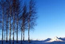 2019年陰歷十月廿六小雪遷墳好嗎,小雪節氣反應的是降水量嗎？