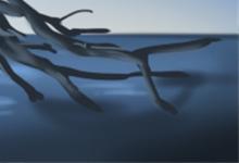 耳朵長痣好不好，有什么含義